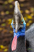 20240124-IMG_6214-Edit