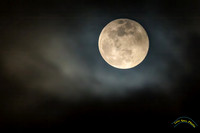 20240125-IMG_6356-Edit