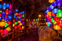 20240131-IMG_6521