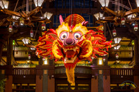 20240131-IMG_6524