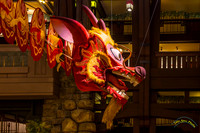 20240131-IMG_6536