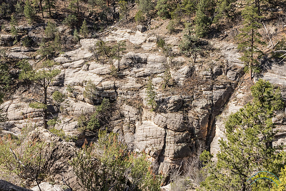 Flagstaff Vacation 2016 - 6715
