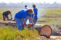 Chula Vista Nature Center Clean Up - 29