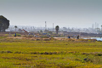Chula Vista Nature Center Clean Up 8/27/11