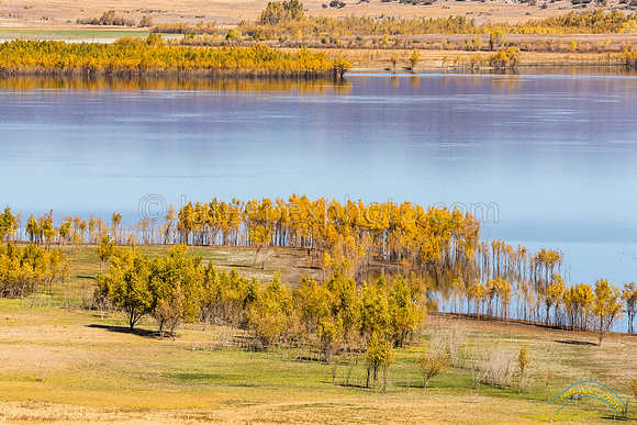 20191112 - 9828
