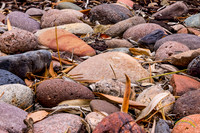 Riverbed