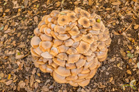 20161030 - 0029