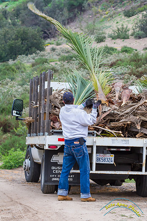 Radio Canyon Restoration 1-31-15 - IMG_6233