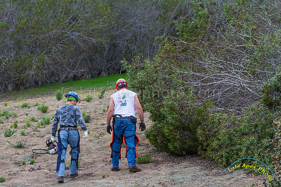 Radio Canyon Restoration 1-31-15 - IMG_6048