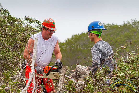 Radio Canyon Restoration 1-31-15 - IMG_6086