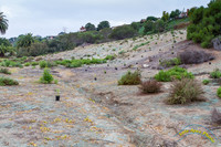 Radio Canyon Restoration 1-31-15 - IMG_6021