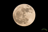 20250610-_O3A1055-Edit