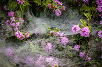 20200807 -_