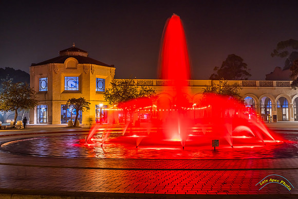 20241219-0O3A9879-Edit