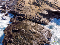 20210226 - 0082
