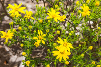 20240418-IMG_8099-Edit