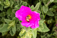 20240418-IMG_8116-Edit