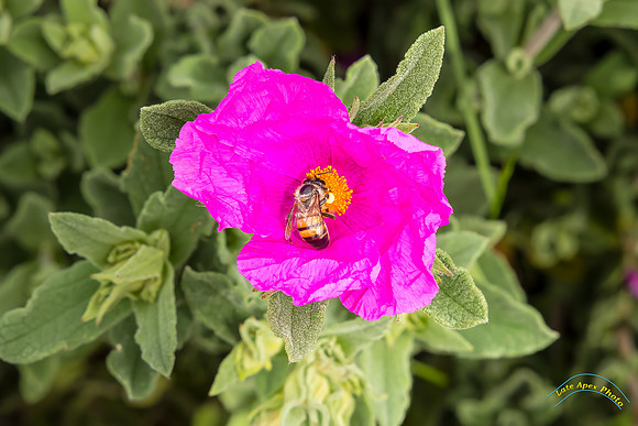 20240418-IMG_8116-Edit