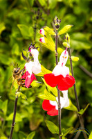 20240418-IMG_8151-Edit
