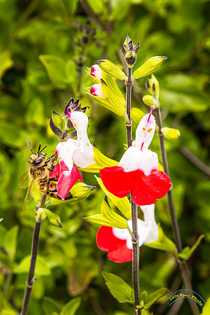 20240418-IMG_8151-Edit
