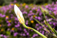 20240418-IMG_8226-Edit