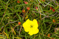 20240418-IMG_8241-Edit