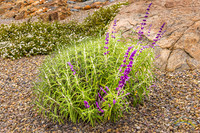 20240418-IMG_8248-Edit