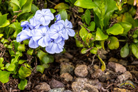 20240418-IMG_8251-Edit