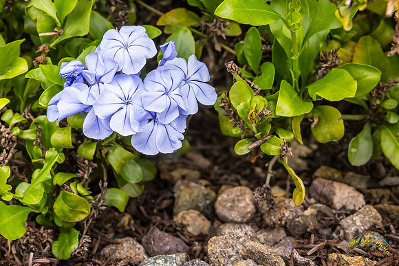 20240418-IMG_8251-Edit