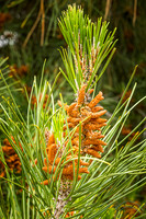20240418-IMG_8256-Edit
