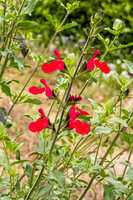 20240418-IMG_8314-Edit
