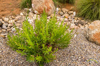 20240418-IMG_8253