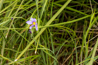 20240418-IMG_8254