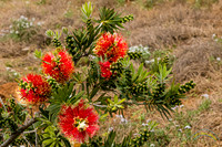 20240418-IMG_8326