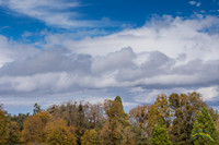 20161030 - 0017