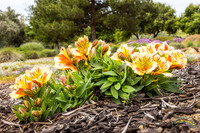 20240418-IMG_8111-Edit
