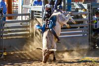Rodeo