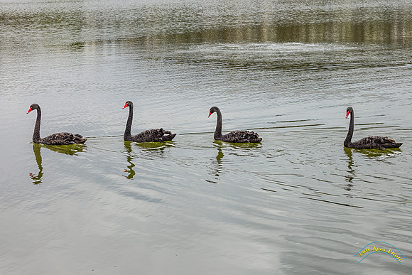 20250506-_O3A8738-Edit-2
