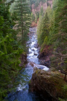 Seattle 2011 - 3914
