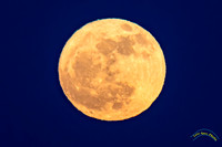 20250610-_O3A1025-Edit