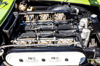 20240428-IMG_8917