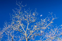 20161021 - 9918