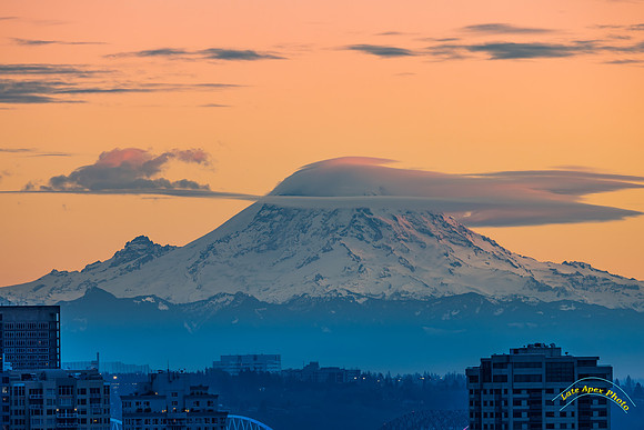 20241205-0O3A9737-Edit-3
