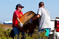 Chula Vista Nature Center Clean Up - 122