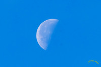 20250220-0O3A3601-Edit
