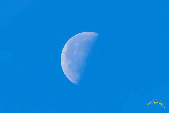 20250220-0O3A3601-Edit