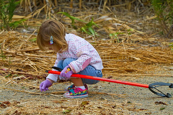 Calif. Costal Cleanup 2011- 147