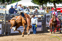Poway Rodeo 2013 - 5014