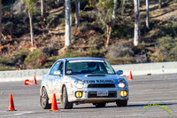 Solo 11-30-14 - IMG_7845