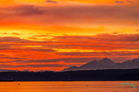 20241130-0O3A9404-Edit